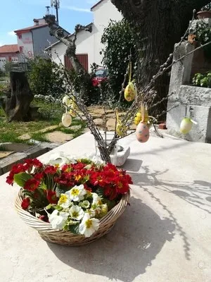 Gostilna Na burji — photo 21