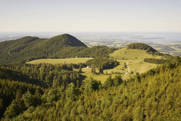 Stubn in der Frasdorfer Hütte — photo 17