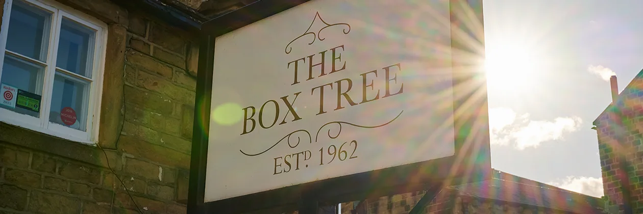 Box Tree — photo 14