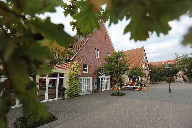 Hasenklee — photo 8