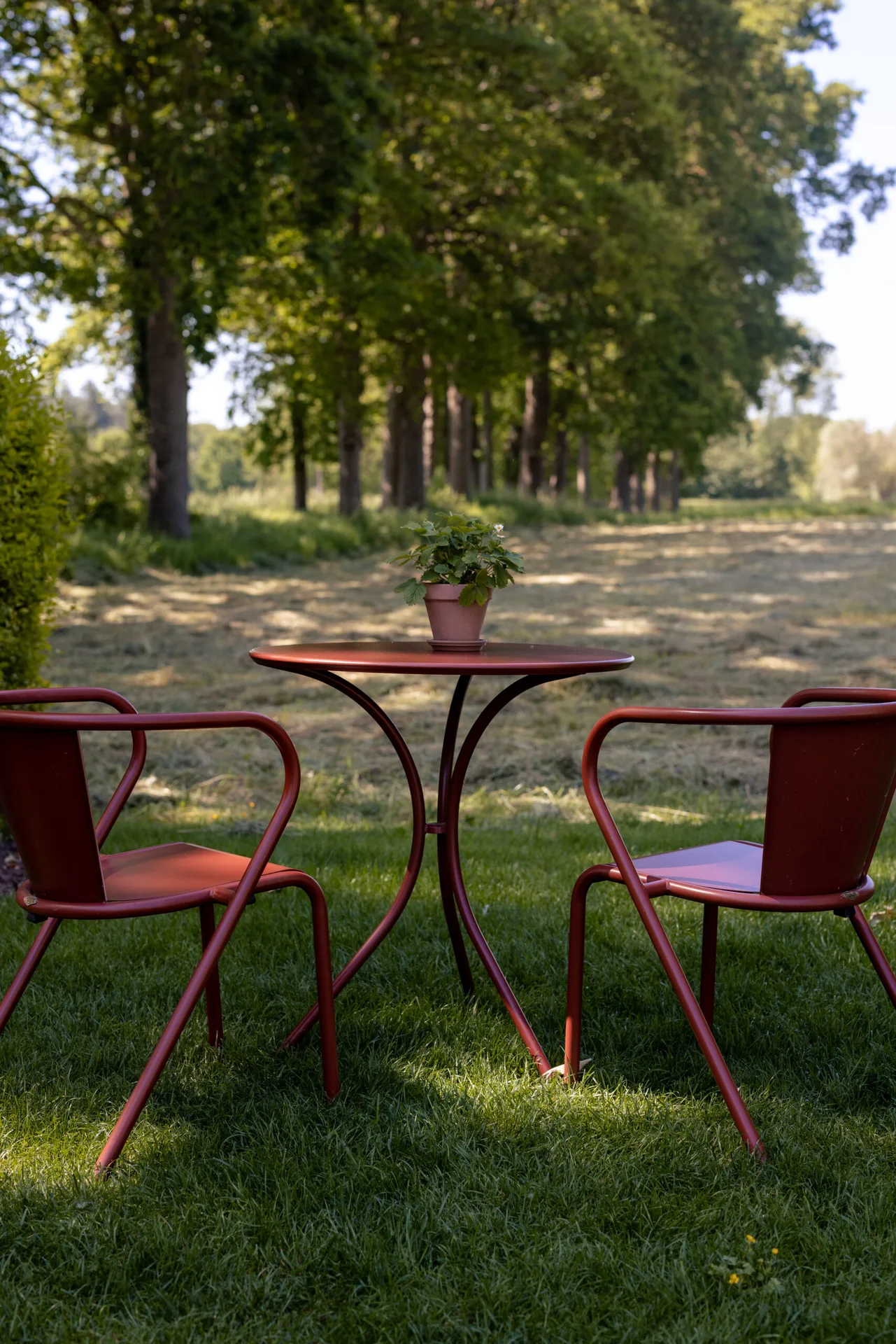 De Herten — photo 8