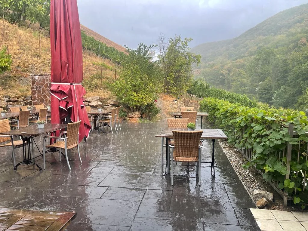 Restaurant Weinberg-Schlösschen — photo 19