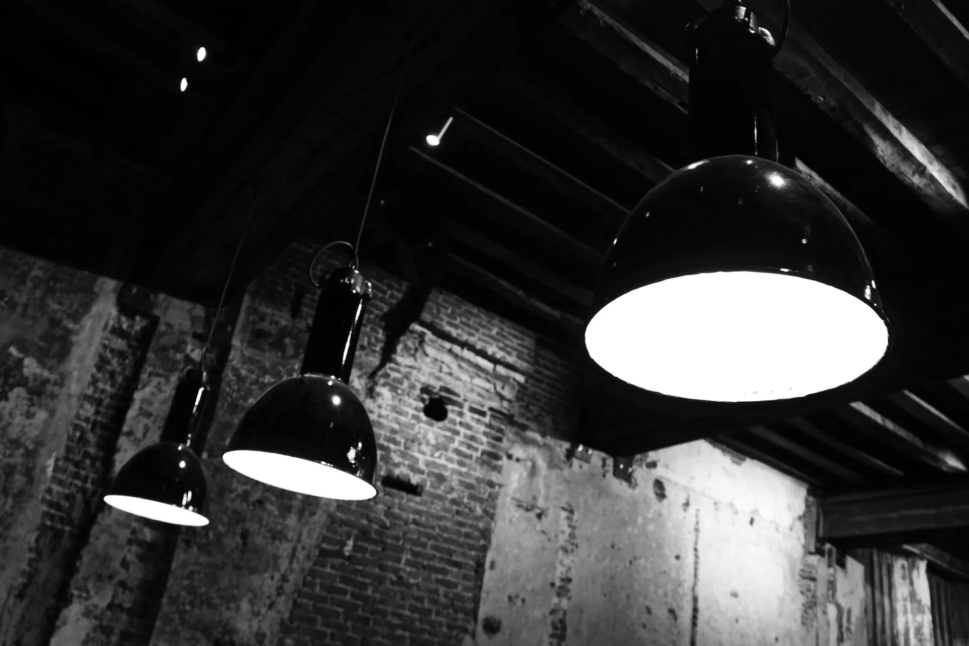 Tazu — photo 12