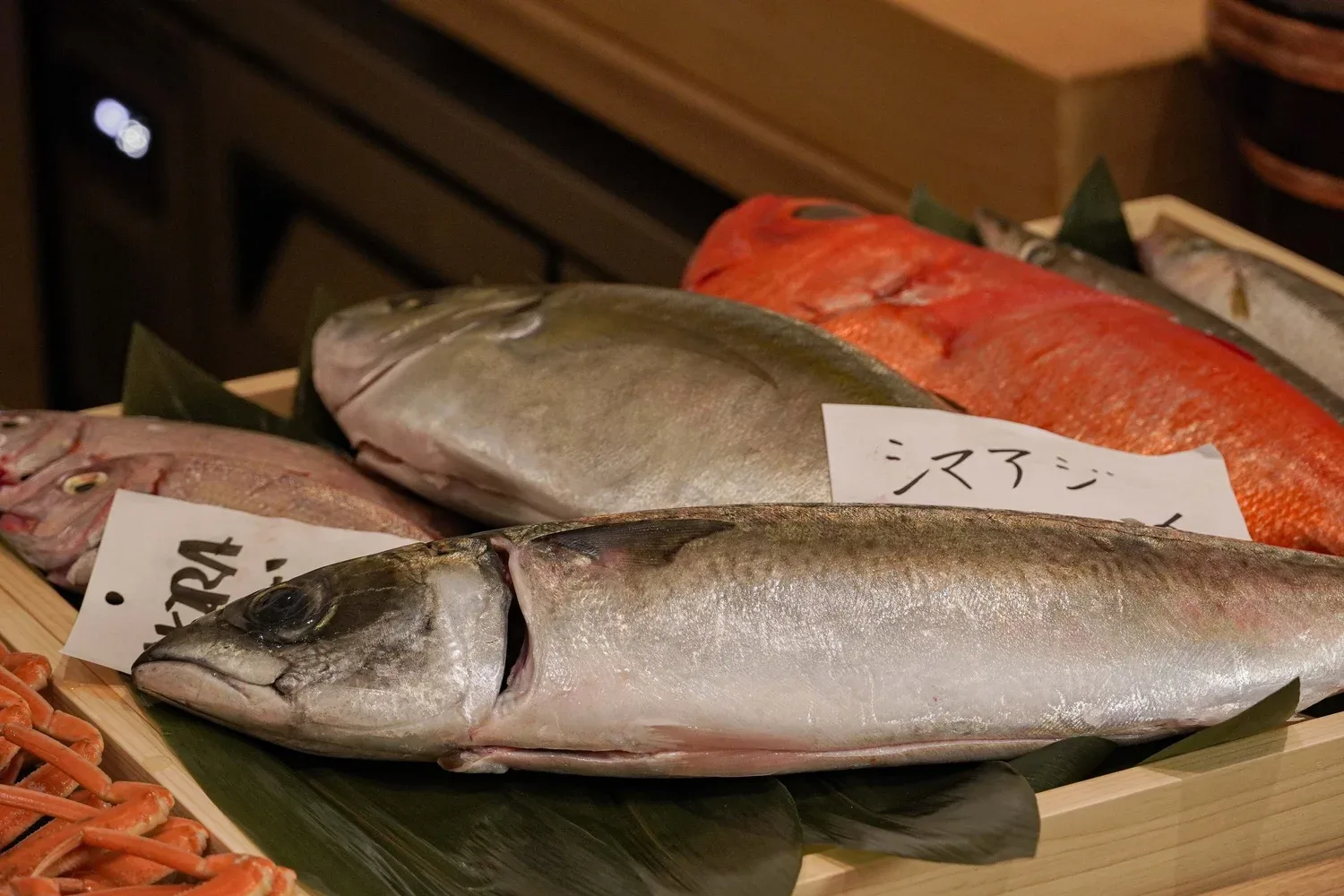 Sushi Akira — photo 16