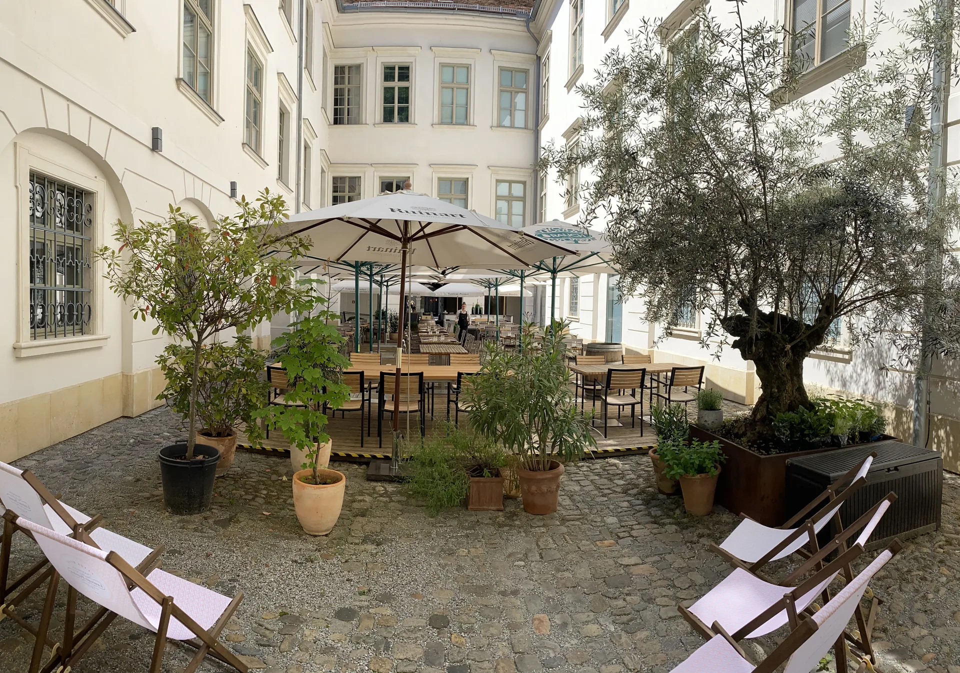 Schmidhofer im Palais — photo 12