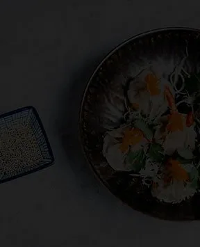 Bodhi Vegan Living — food