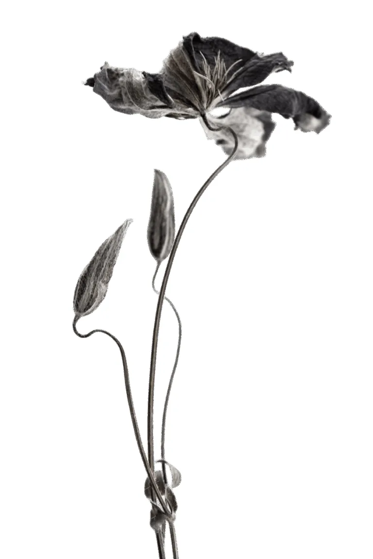 Orto — food