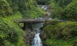 Humuhumunukunukuapua'a — photo 23