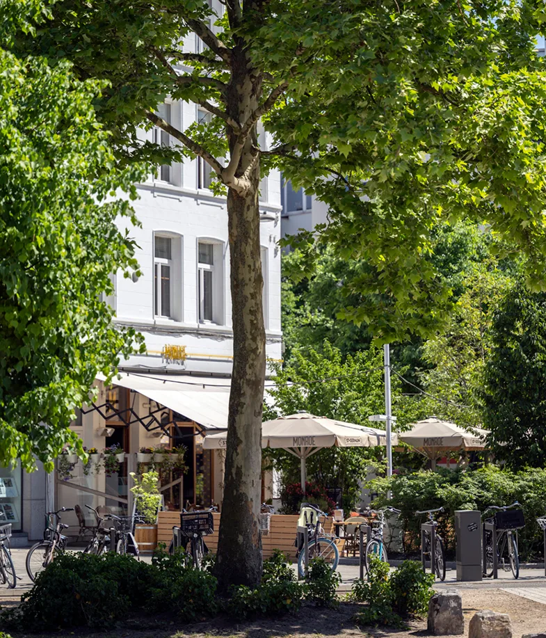 Bistro Monroe — photo 112