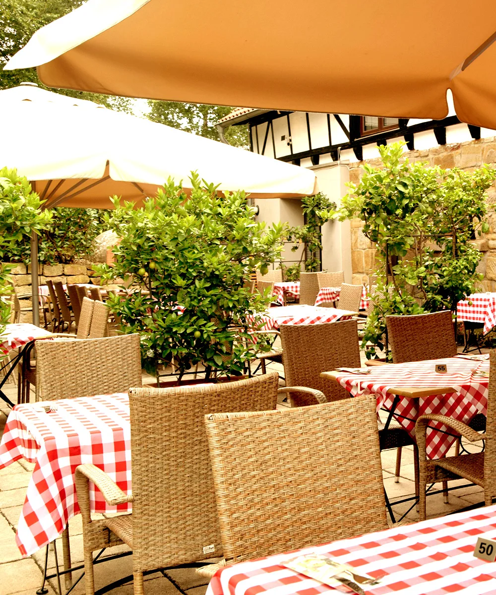 Restaurant Linguini — photo 40
