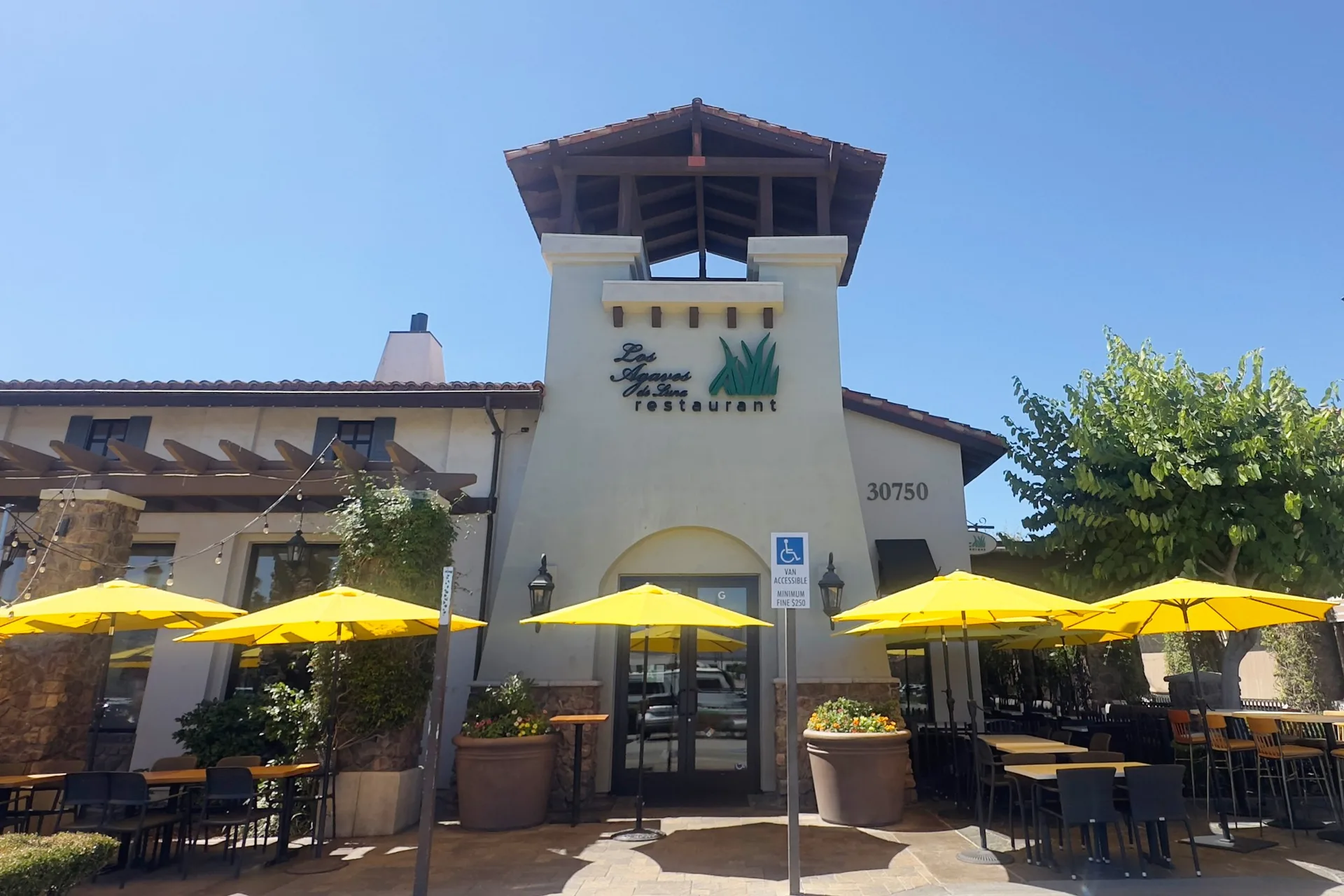 Los Agaves — photo 16