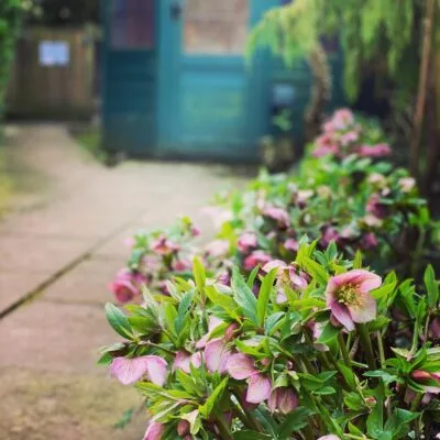 The Hundred House — photo 11