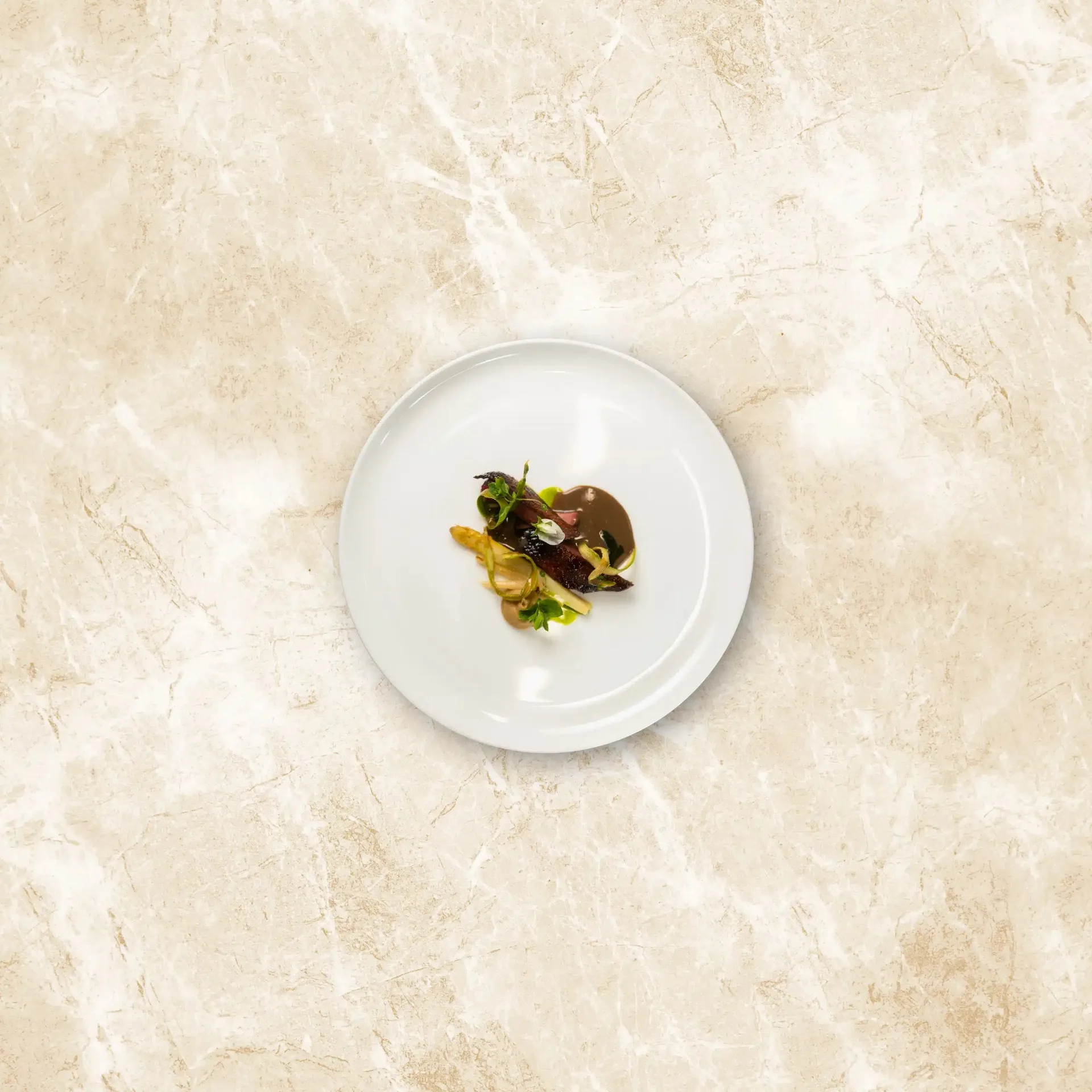 Stefan Haas – Fine Dine — photo 28