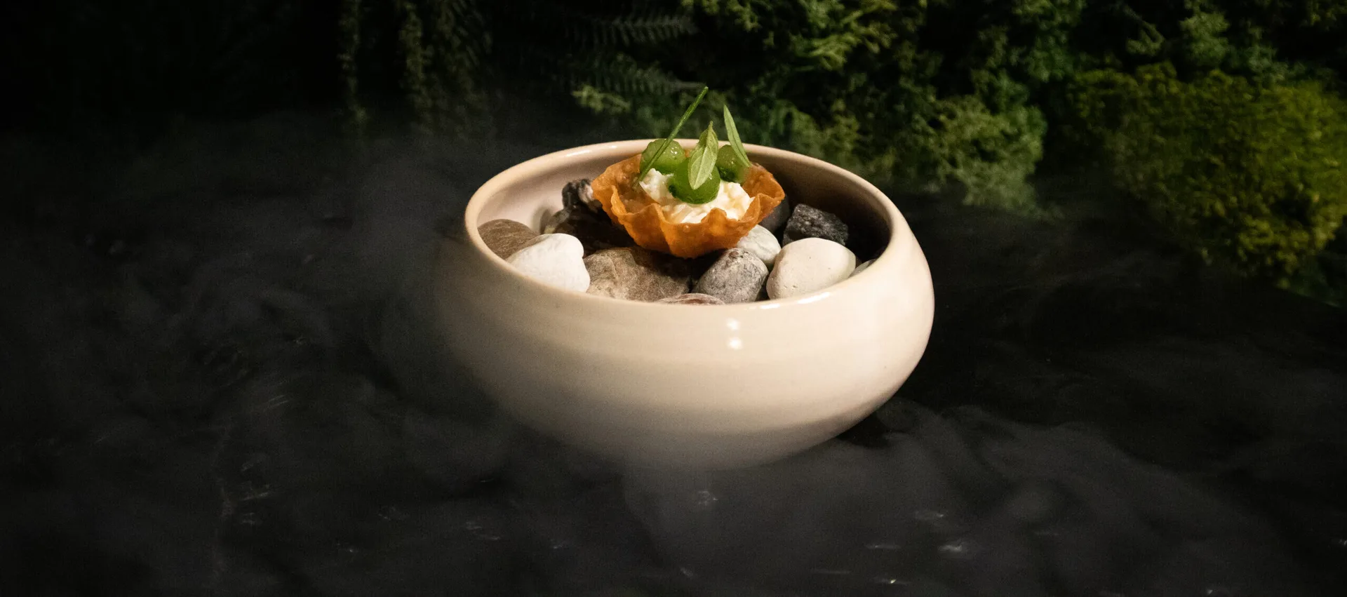 Alimentum — photo 7