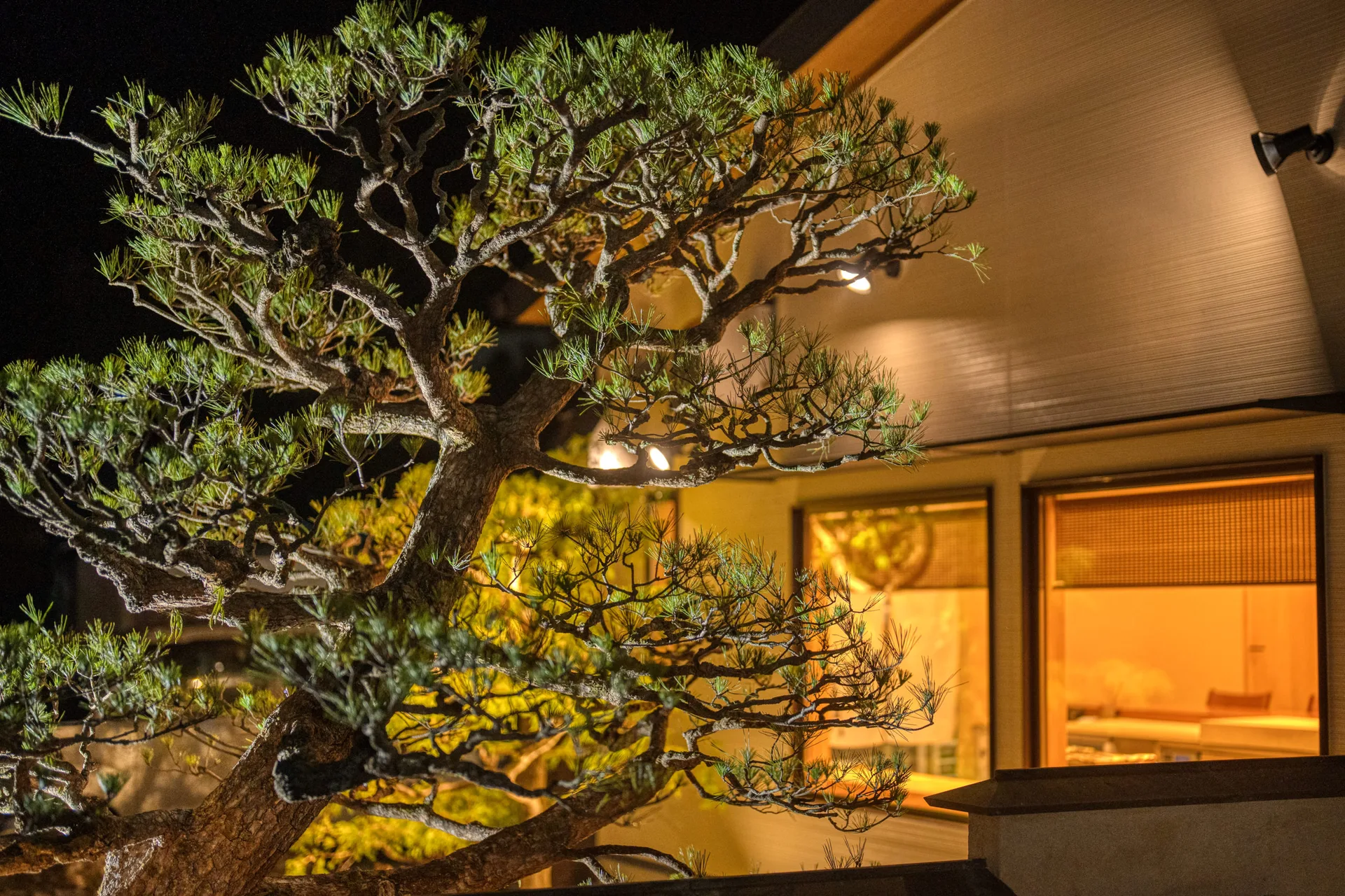 Japanese cuisine Beppu Hirokado — photo 34