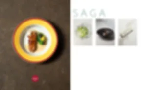 Restaurant Saga — photo 6