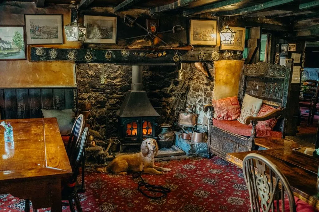 The NoBody Inn — photo 36