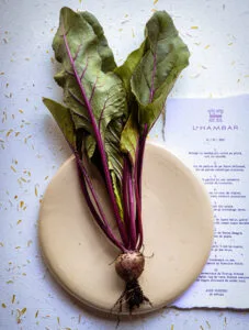 La Hambar Modern Romanian Cusine — photo 6