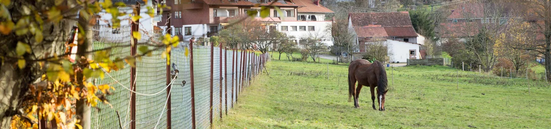 LAMM — photo 9