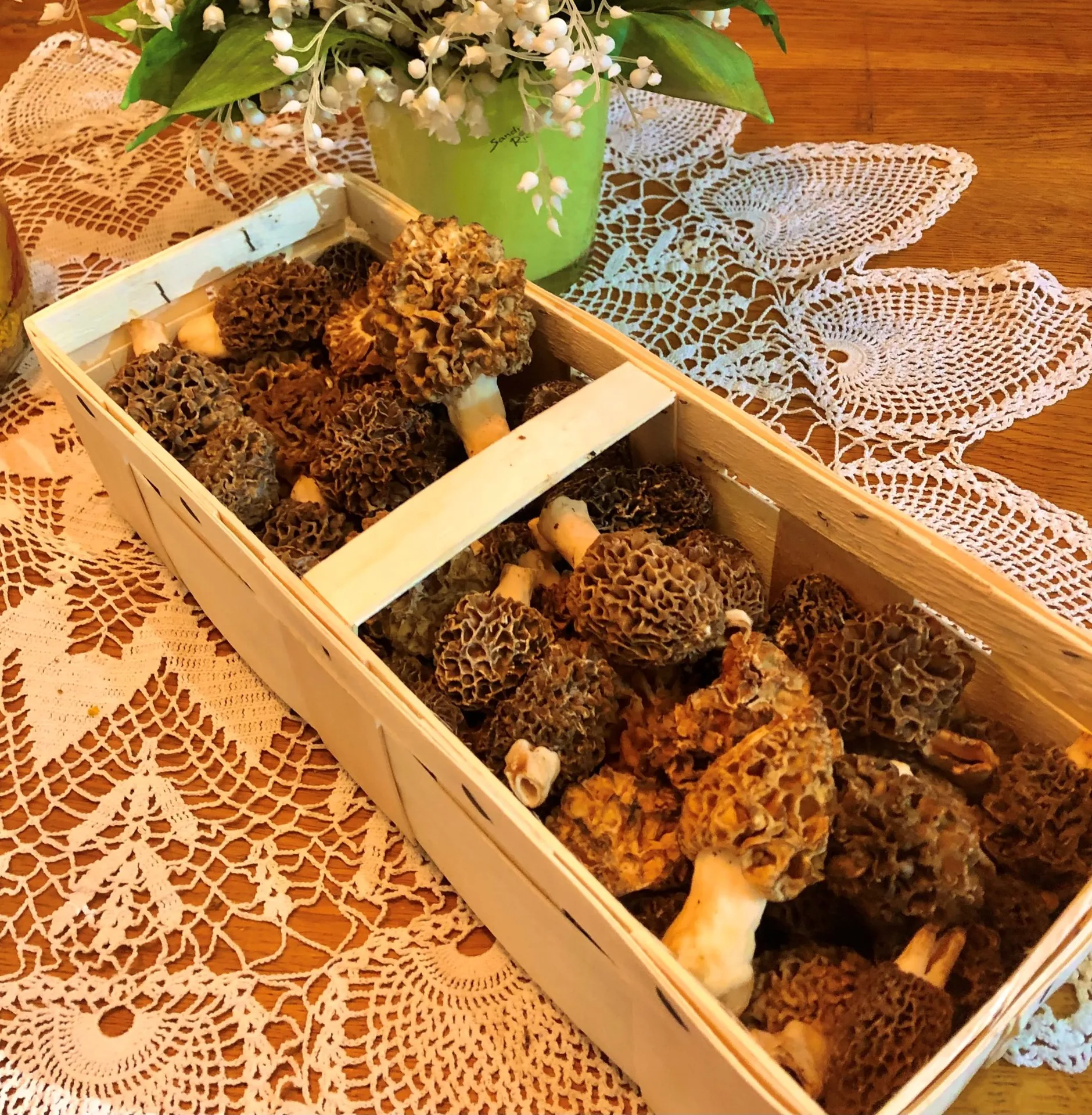 Der Tschebull — photo 57