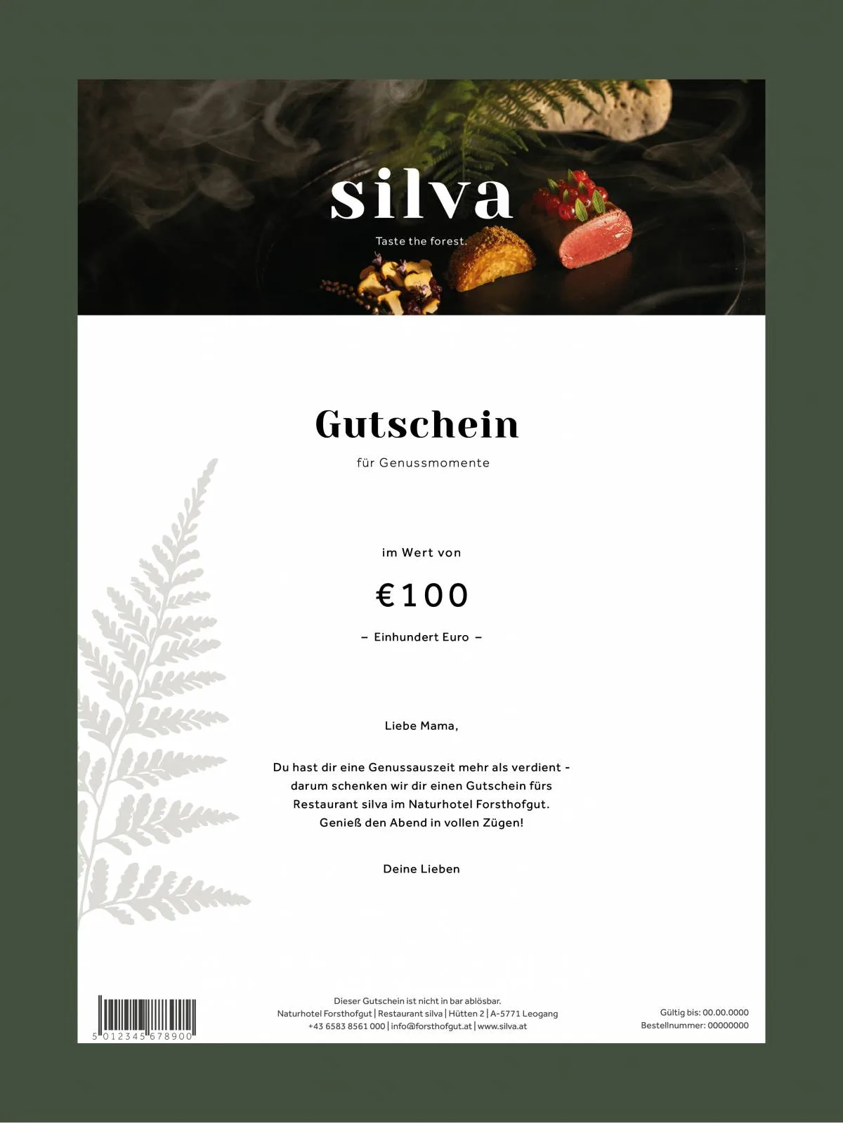 silva — photo 7