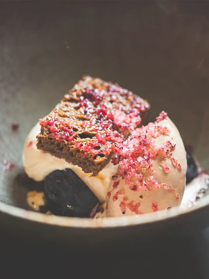 Scino — food