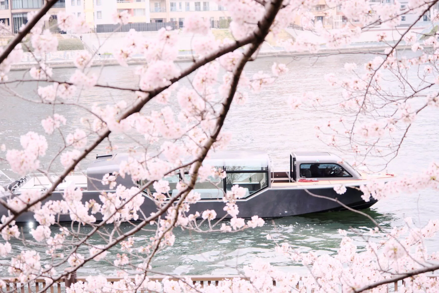 Aramaki — photo 36