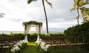Humuhumunukunukuapua'a — photo 6