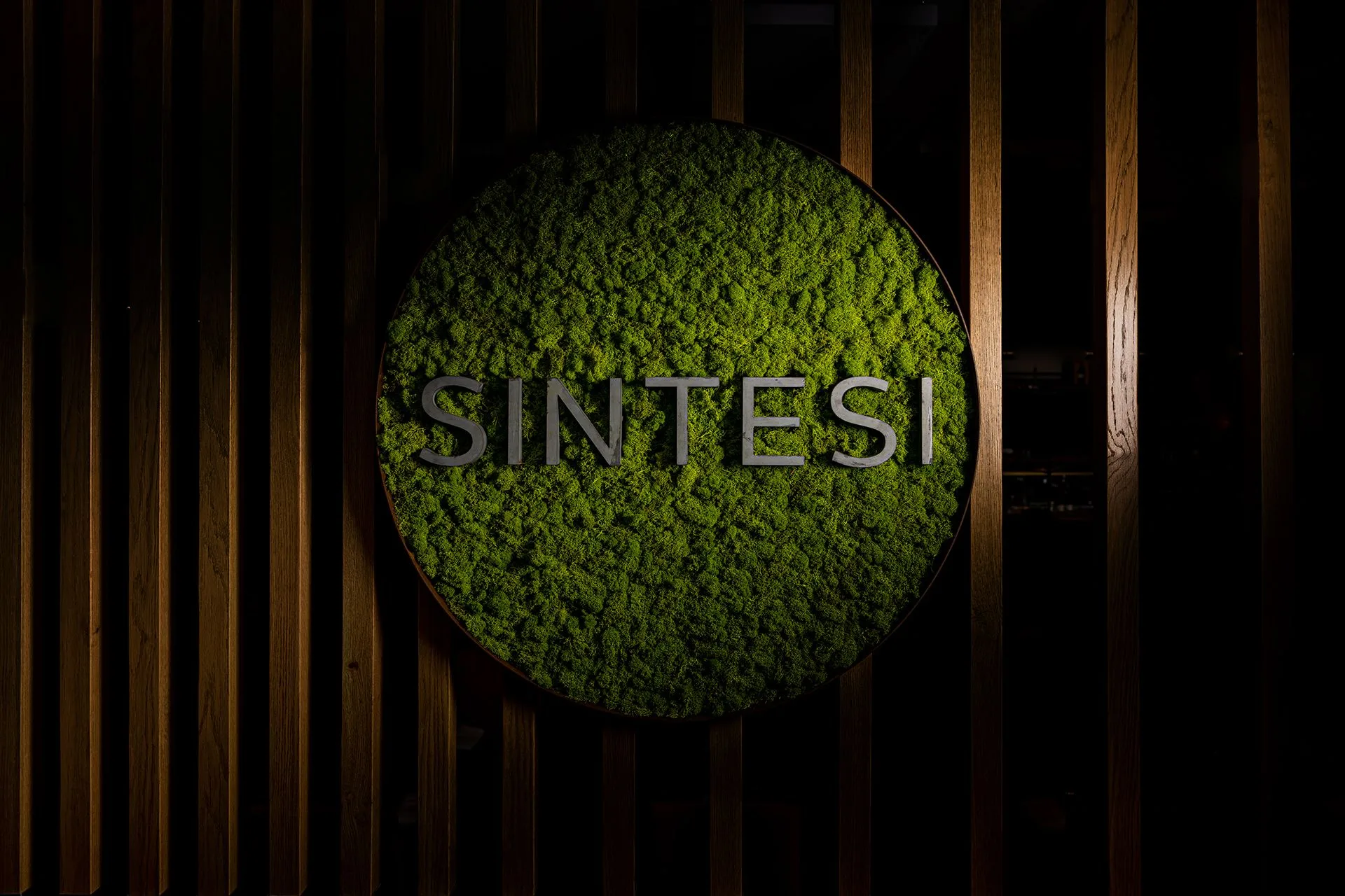 Sintesi — photo 12