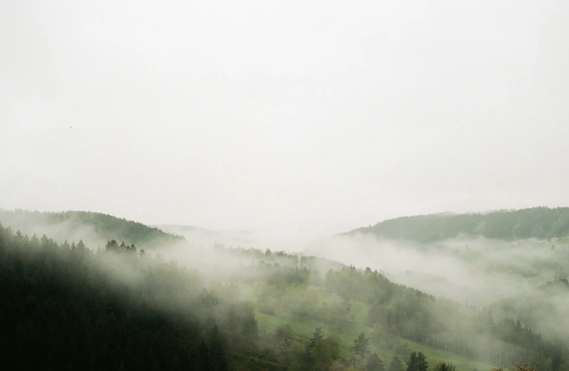 Waldblick-Hotel Kniebis — photo 43