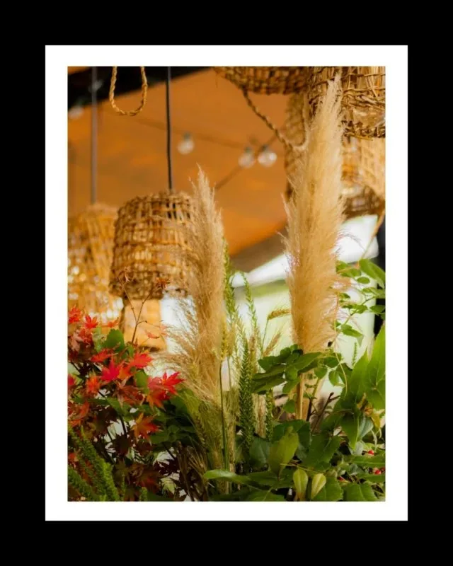 Ambrosia — photo 25