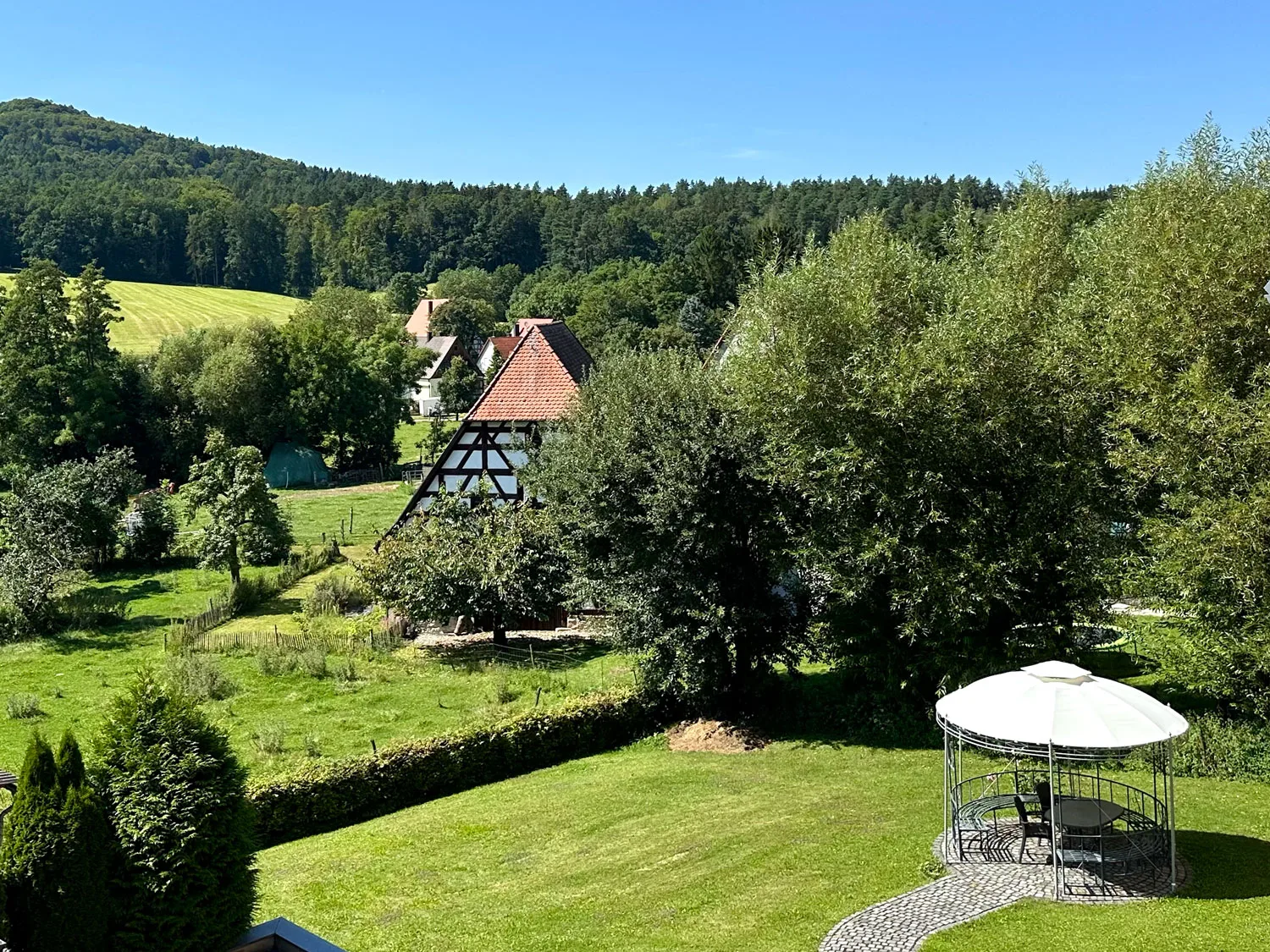 Restaurant Grüner Baum — photo 80