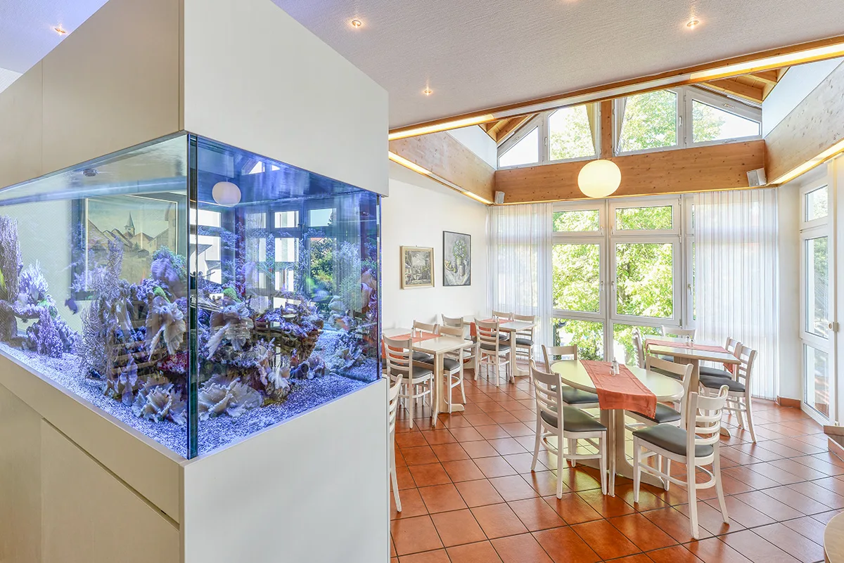 Restaurant Zum Rössle — photo 4