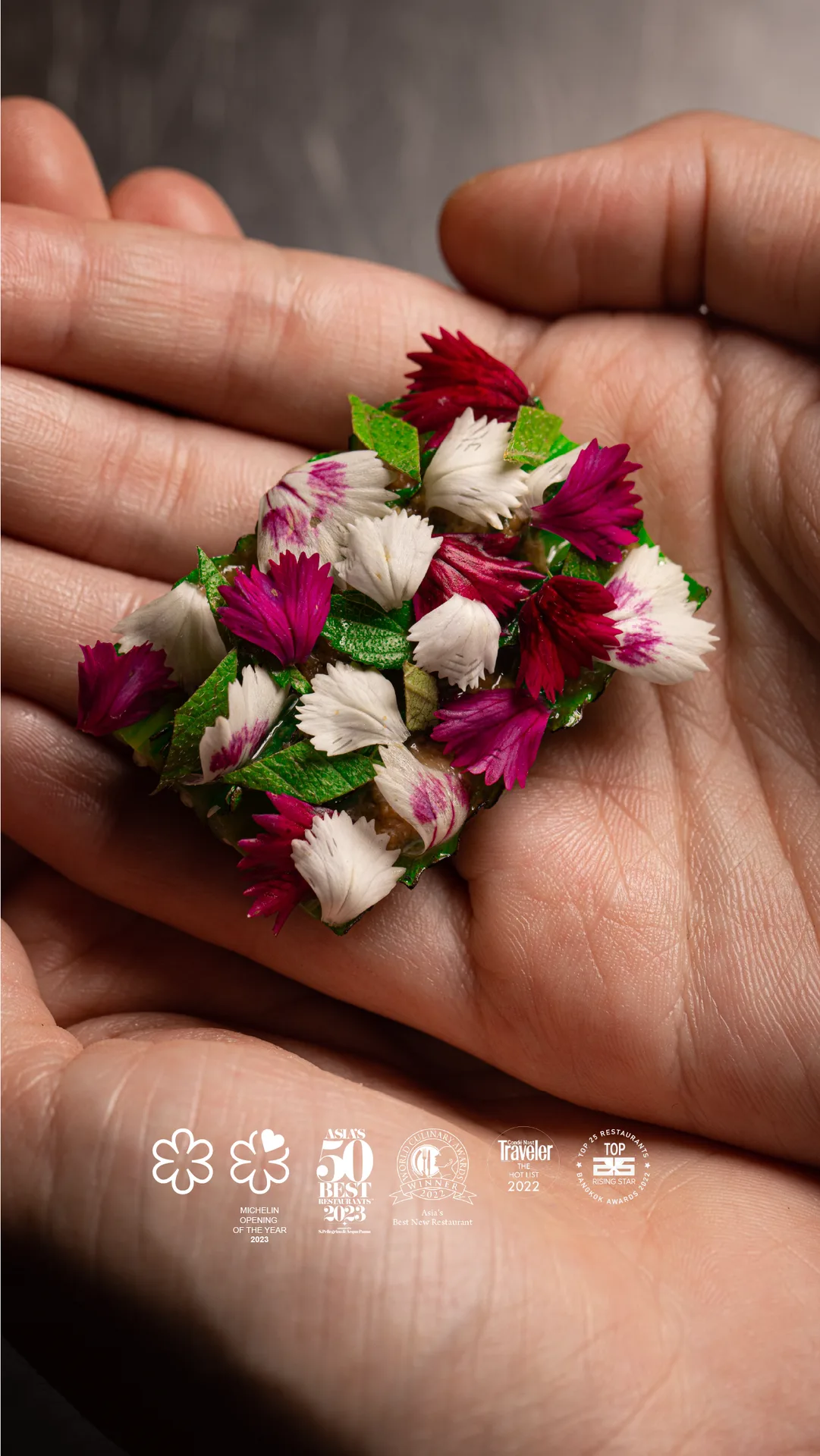 Potong — photo 19