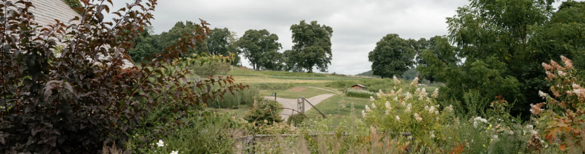 Blue Hill at Stone Barns, Greenburgh