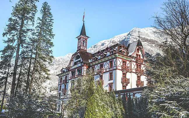 Hotel Vitznauerhof — photo 35