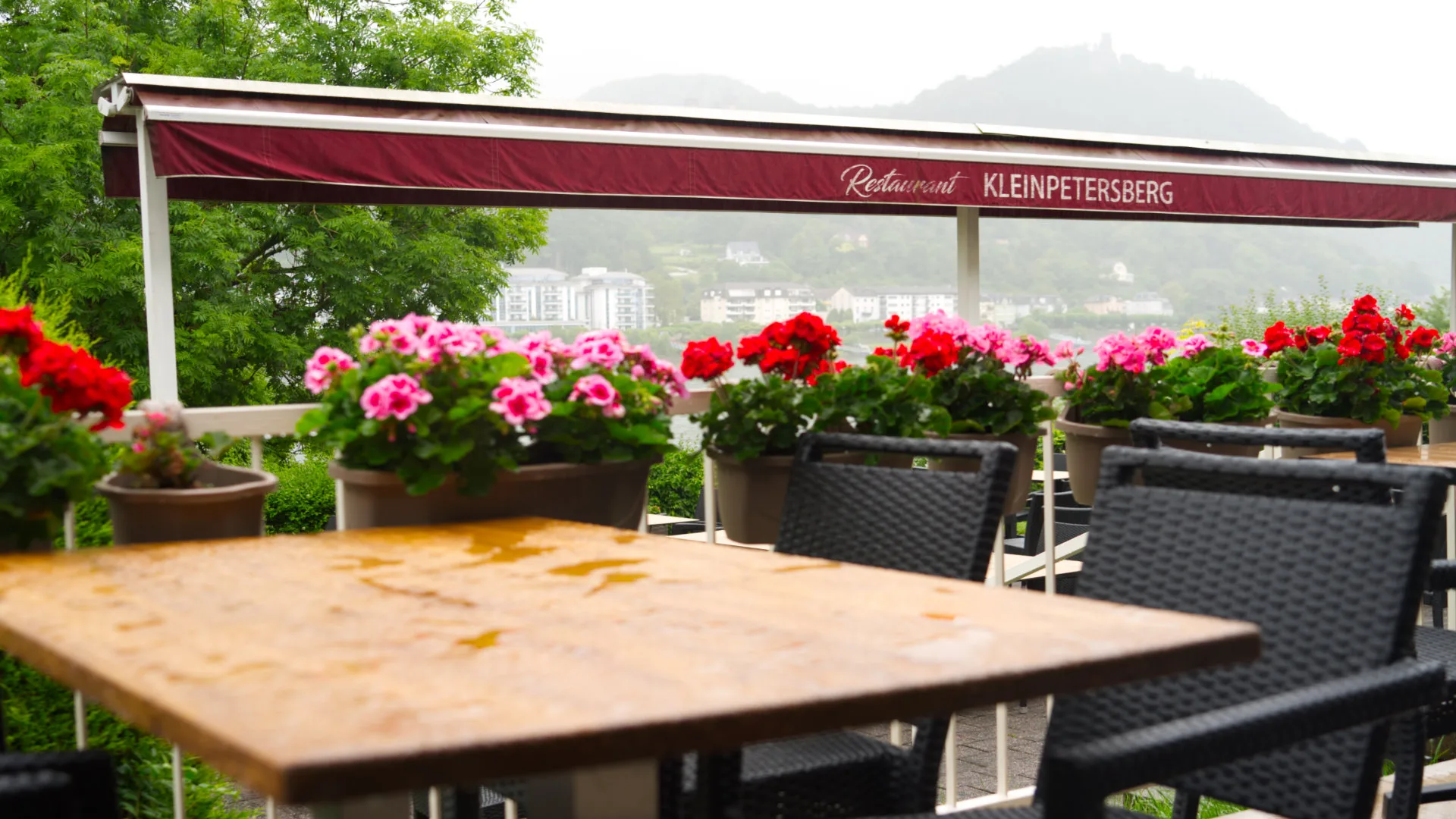 Restaurant Kleinpetersberg — photo 30