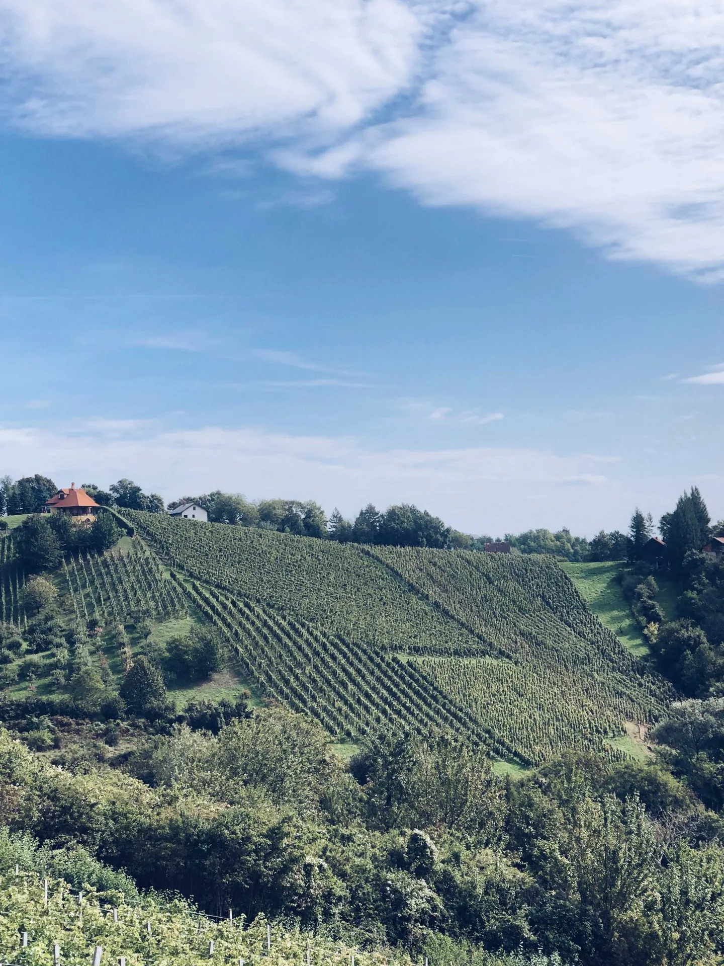 Korak Family Estate — photo 33
