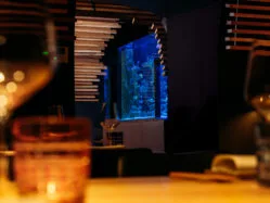 Nami Beef and Reef — photo 8