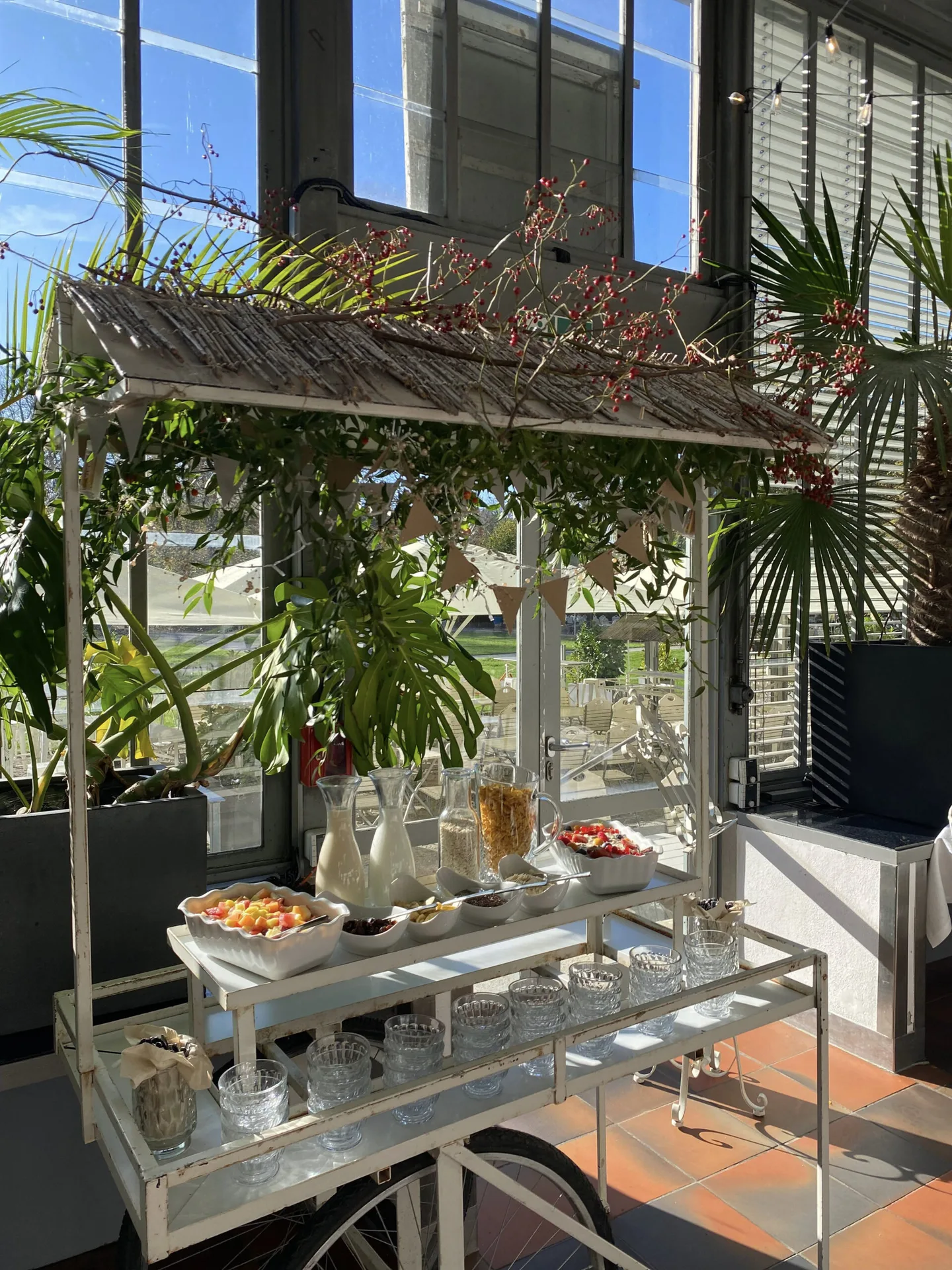 Schlosscafé im Palmenhaus — photo 109