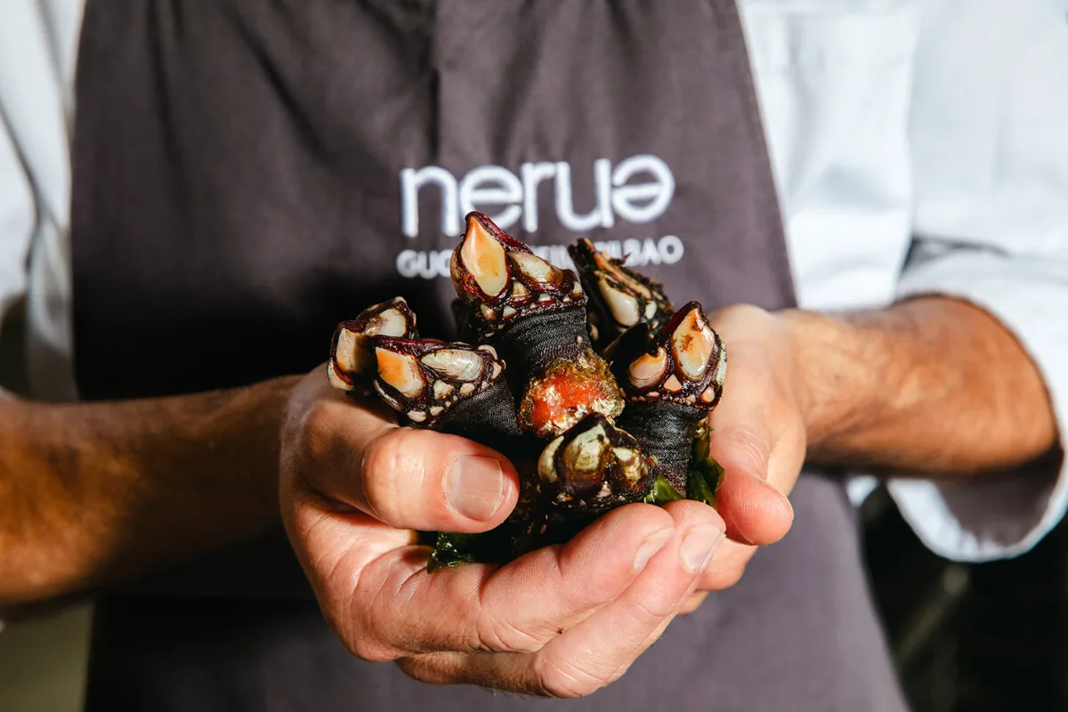 Nerua — photo 16
