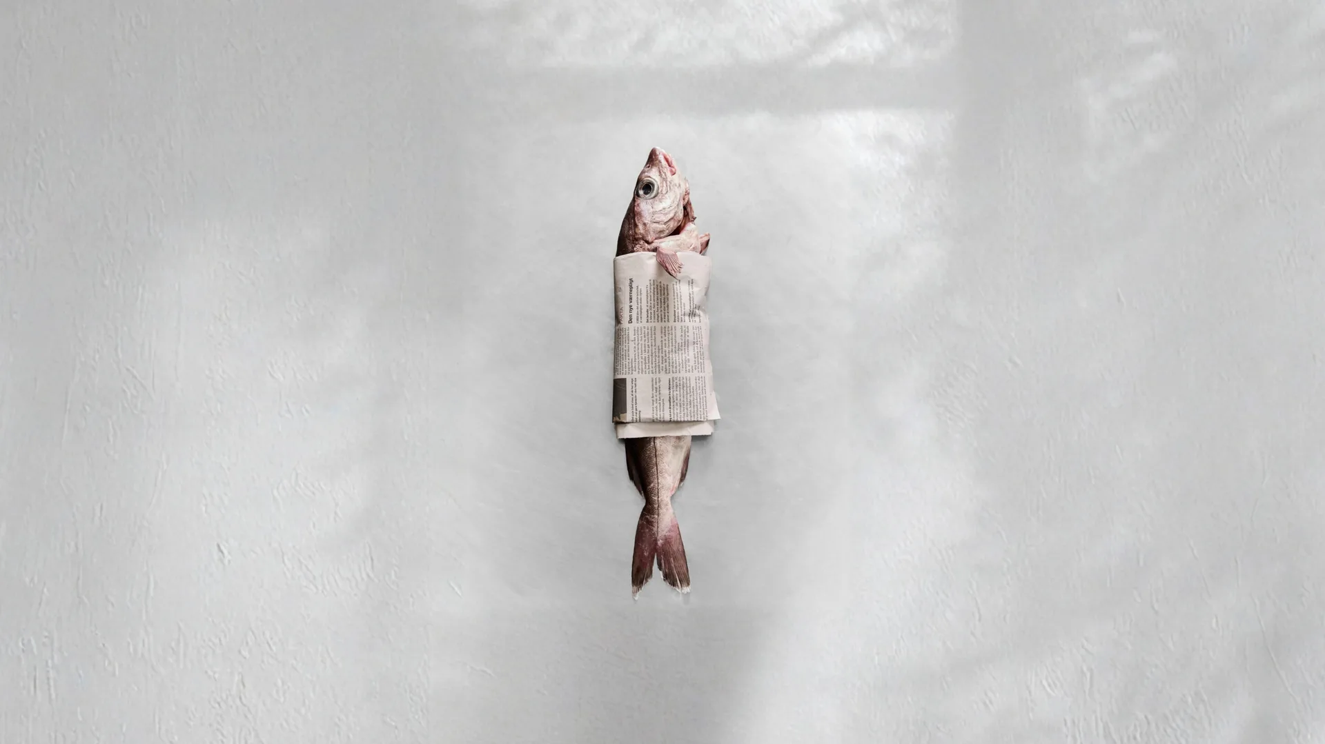 Kødbyens Fiskebar — photo 41