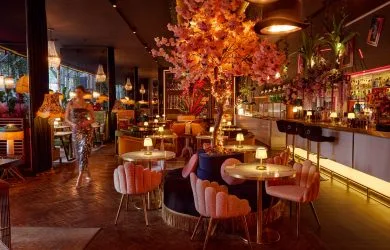 GA KingsX — photo 12
