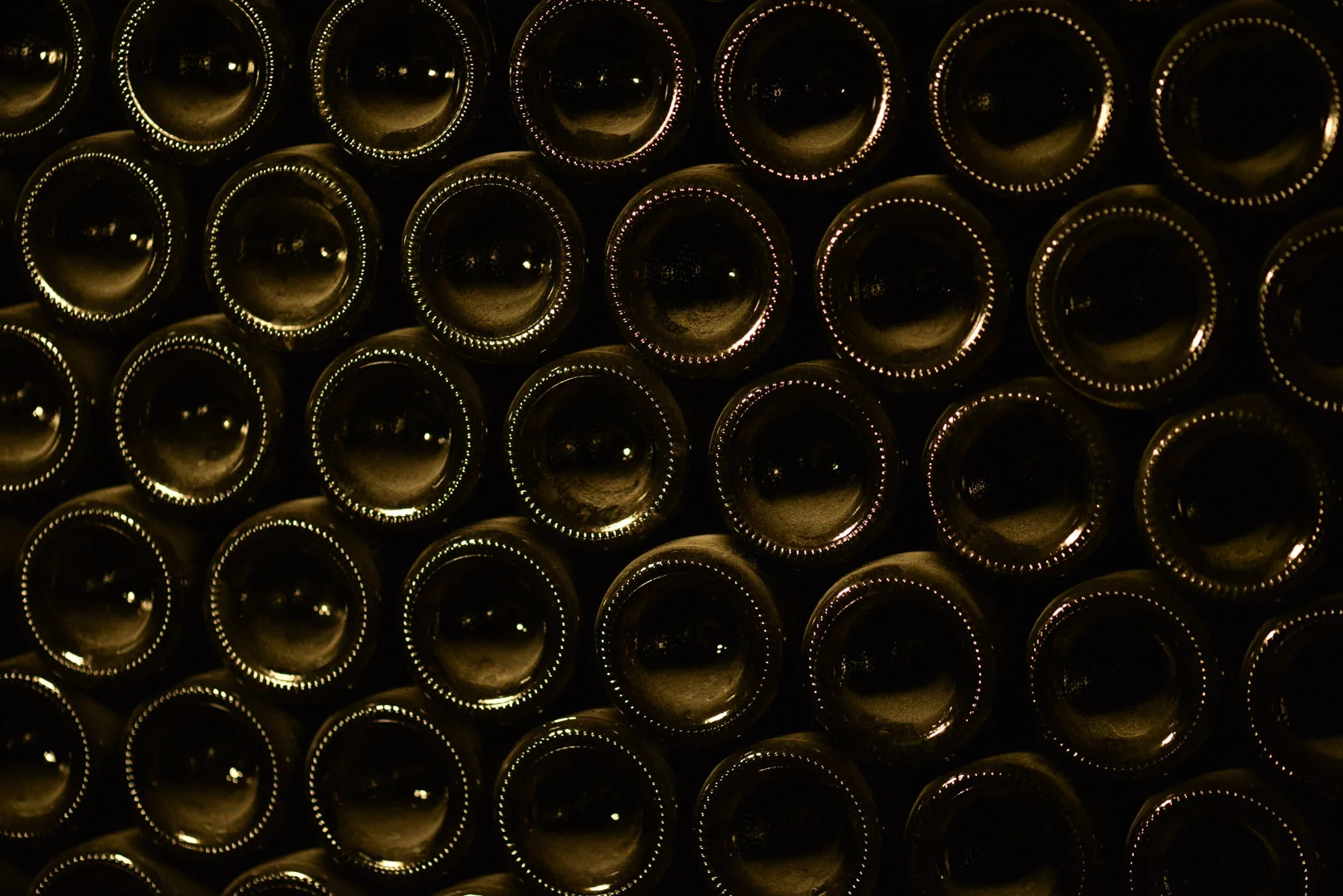 Karnas Vineyards — photo 7