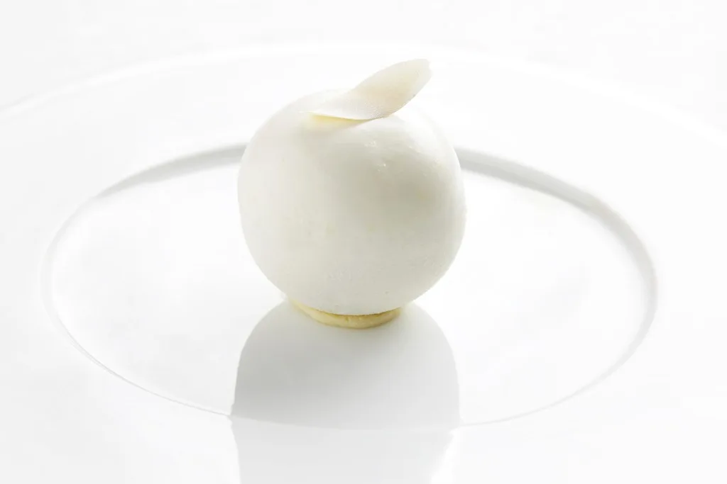 Silene — food
