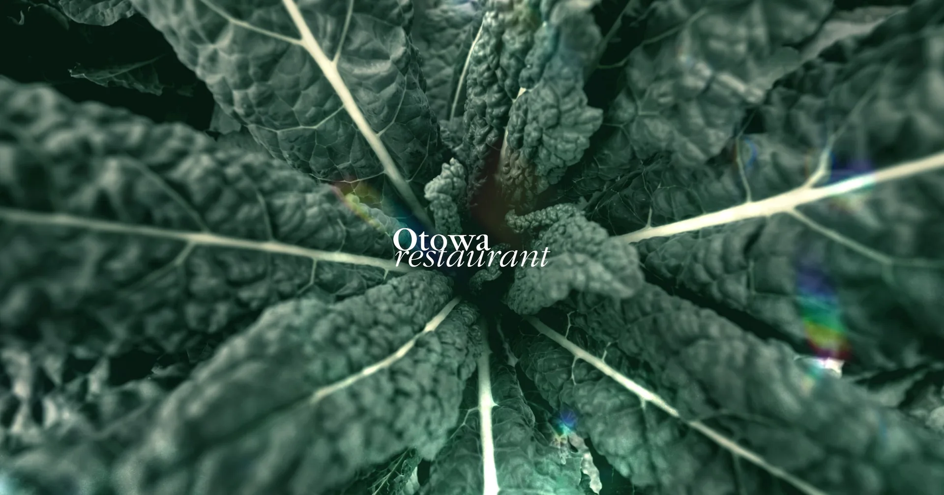 Otowa restaurant — photo 4