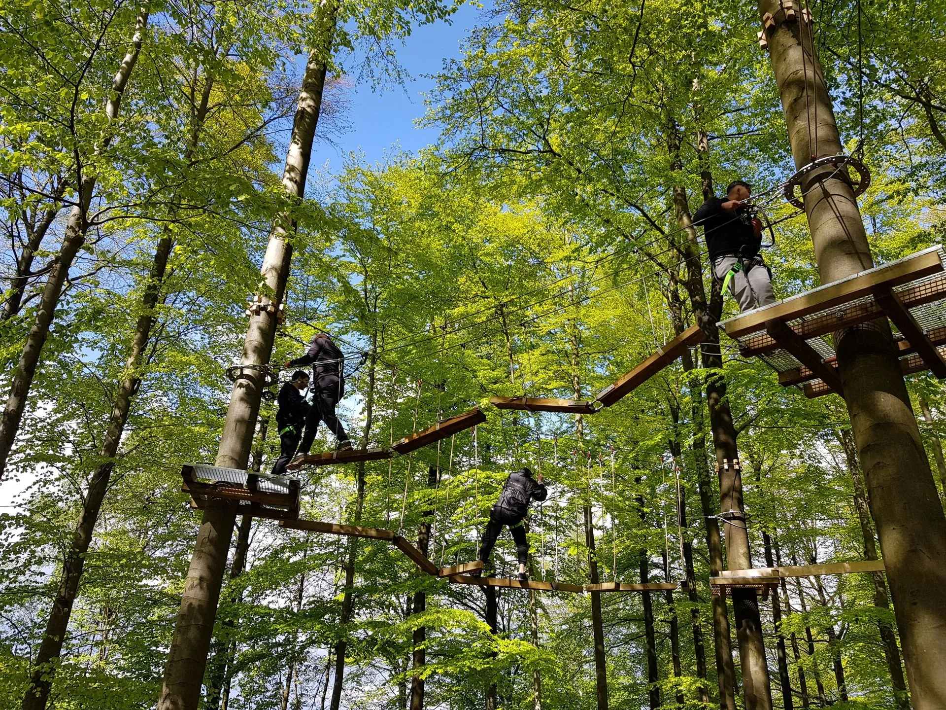 Le Pré des Oréades — photo 64