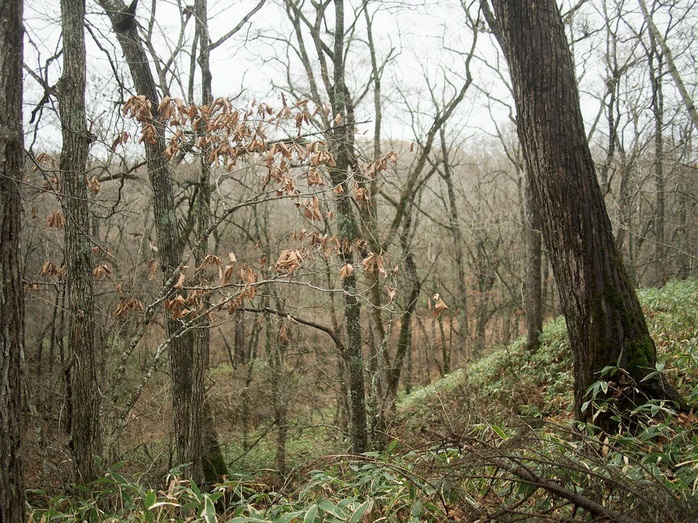 Fenêtre — photo 20