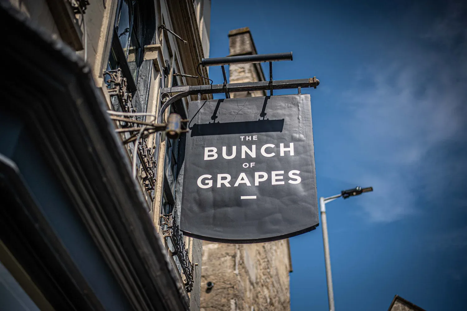 Bunch of Grapes — photo 4