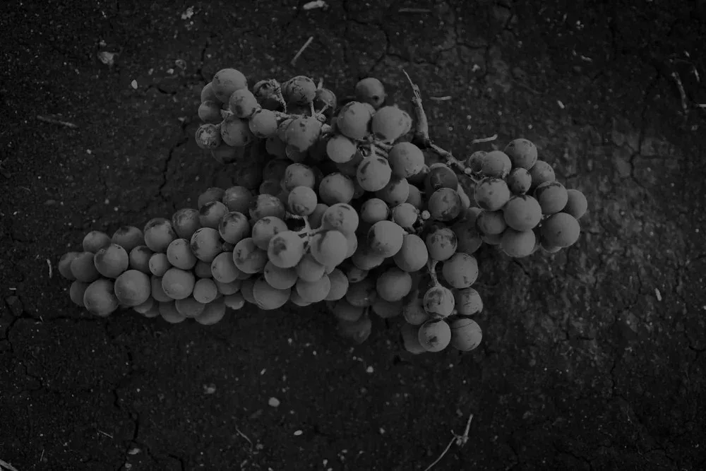 Il Borgo — photo 7